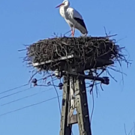 Marcinowa Zagroda Дом отдыха *