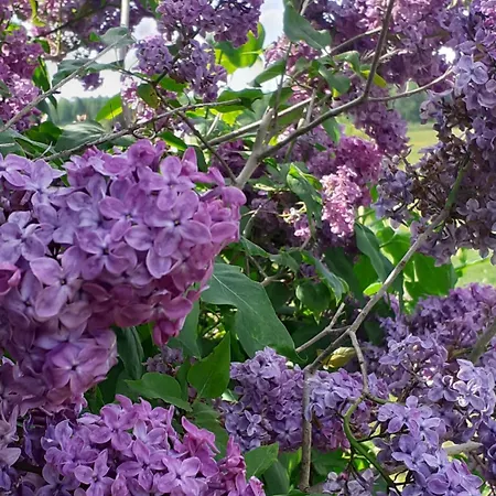 Marcinowa Zagroda Дом отдыха *