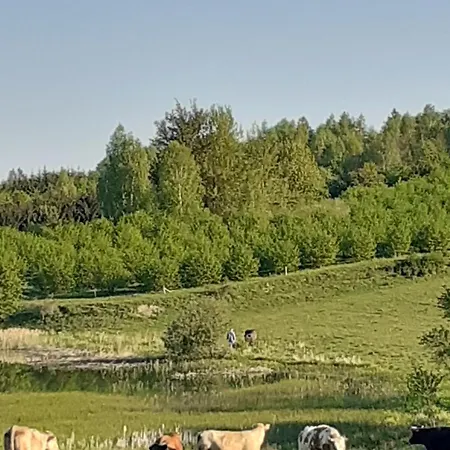 Tatil Evi Marcinowa Zagroda Nowe Kawkowo