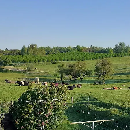 Casa vacanze Marcinowa Zagroda *