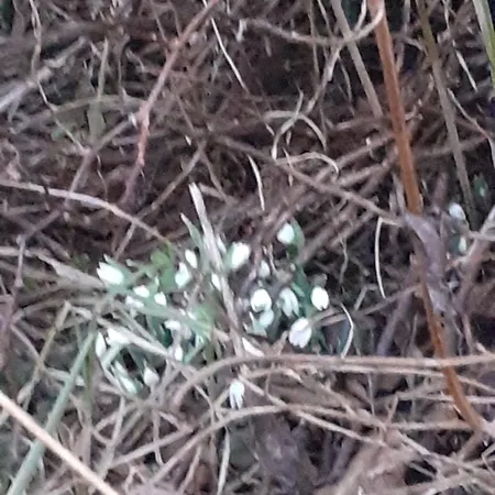 Дом отдыха Marcinowa Zagroda