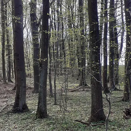 Marcinowa Zagroda Nowe Kawkowo