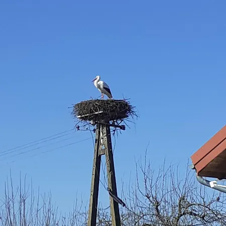 Marcinowa Zagroda * Nowe Kawkowo