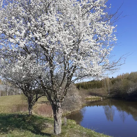 Marcinowa Zagroda * Nowe Kawkowo