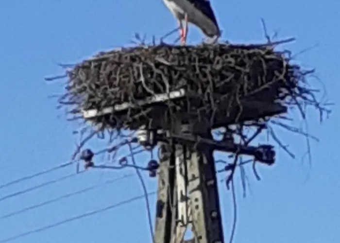Marcinowa Zagroda Сasa de vacaciones *