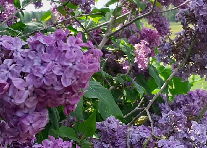 Marcinowa Zagroda Сasa de vacaciones *