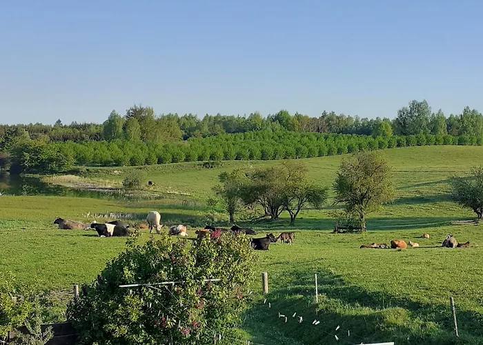 Сasa de vacaciones Marcinowa Zagroda *