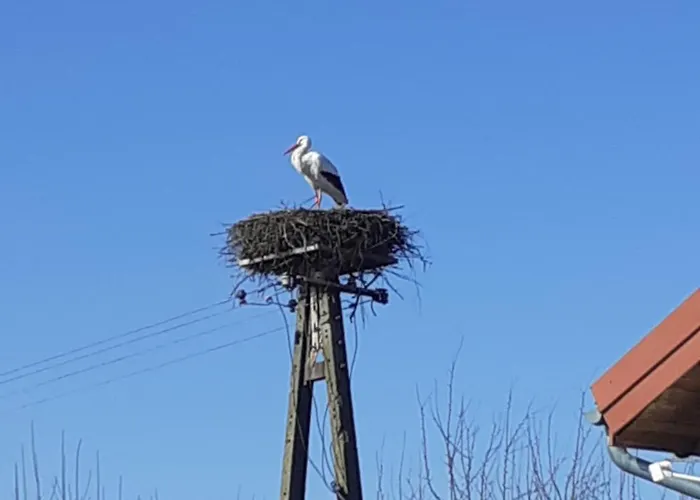 Marcinowa Zagroda * Nowe Kawkowo