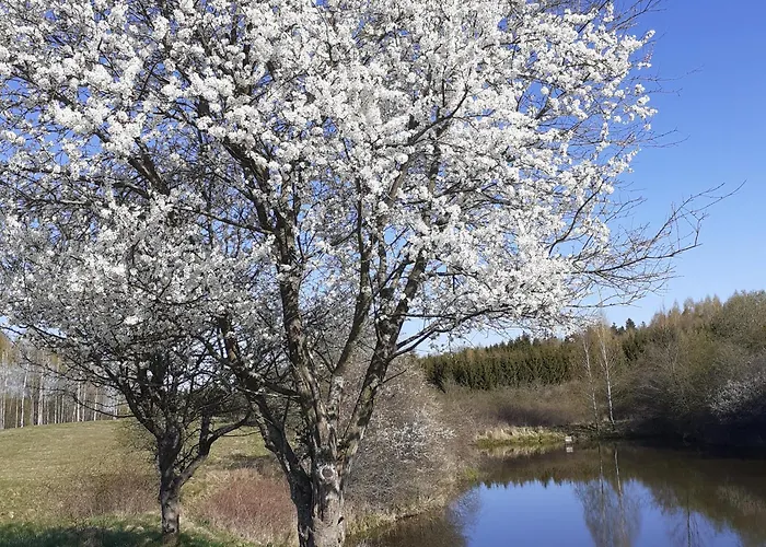 Marcinowa Zagroda * Nowe Kawkowo